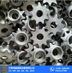 寧津鴻晨網(wǎng)鏈公司 工業(yè)雙排鏈輪與絲網(wǎng)輸送帶的專業(yè)選擇